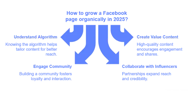 Want to Grow Your Page Organically on Facebook in 2025 Infographics